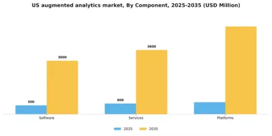 US Augmented Analytics Market Segment Image 0