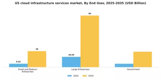 US Cloud Infrastructure Services Market Segment Image 1