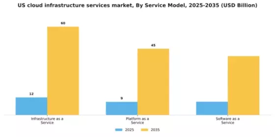 US Cloud Infrastructure Services Market Segment Image 3