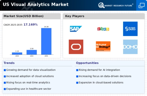 US Visual Analytics Market Infographic