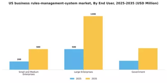 US Business Rules Management System Market Segment Image 3