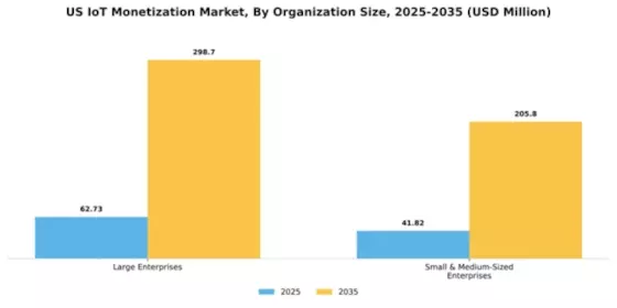 US IoT Monetization Market Segment Image 3
