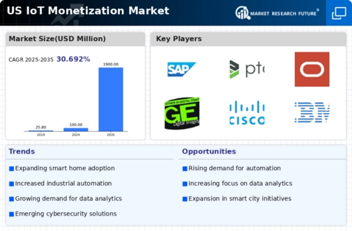 US IoT Monetization Market Infographic