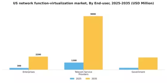 US Network function virtualization Market Segment Image 2