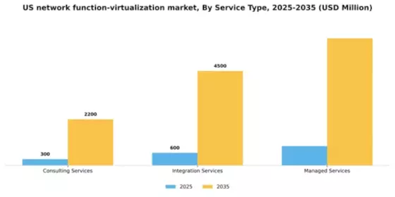 US Network function virtualization Market Segment Image 3