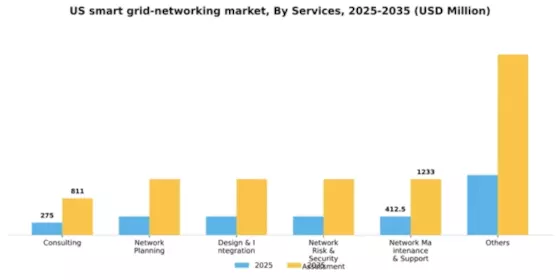 US Smart Grid Networking Market Segment Image 1