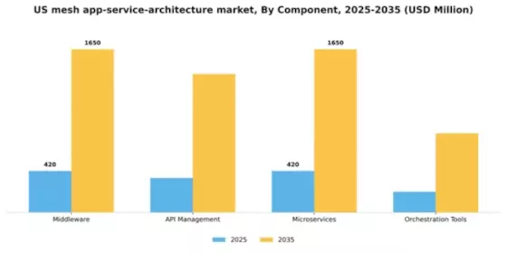 US Mesh App Service Architecture Market Segment Image 1