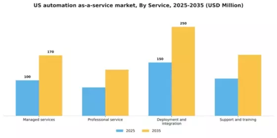 US Automation as a Service Market Segment Image 1
