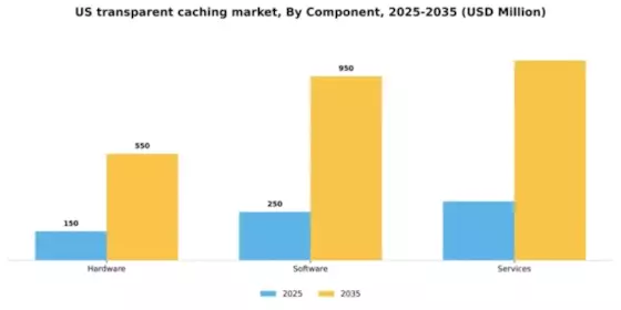 US Transparent Caching Market Segment Image 1