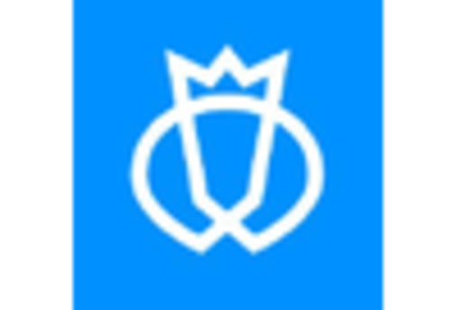 US Crowdsourced Testing Market key player