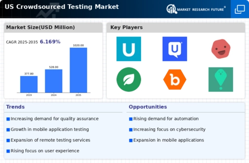 US Crowdsourced Testing Market Infographic