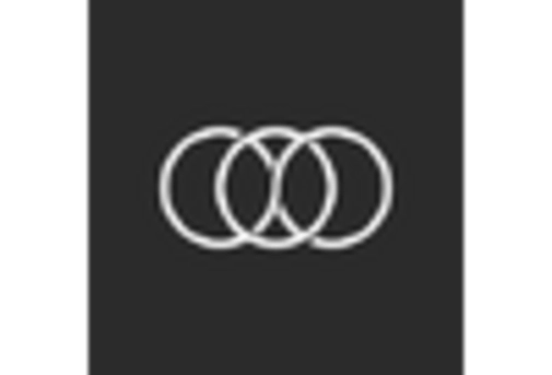 US Virtual Dressing Room Market key player