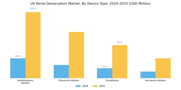 US Renal Denervation Market Segment Image 1