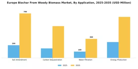 Europe Biochar from Woody Biomass Market Segment Image 0