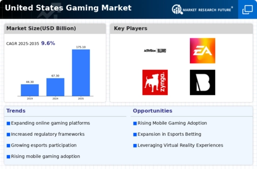 US Gaming Market Infographic