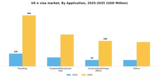US E Visa Market Segment Image 0