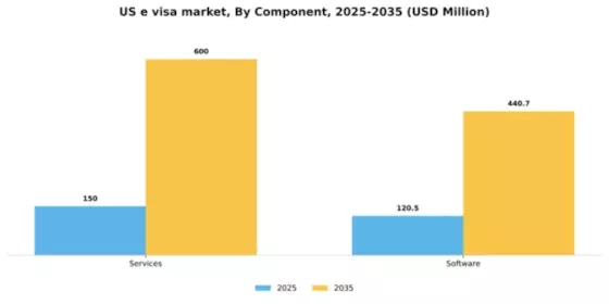 US E Visa Market Segment Image 1