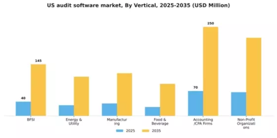 US Audit Software Market Segment Image 3