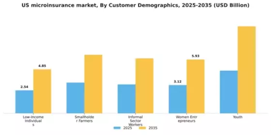 US Microinsurance Market Segment Image 0