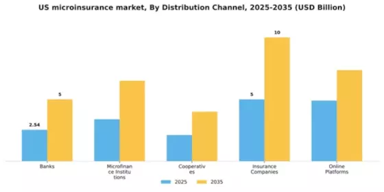 US Microinsurance Market Segment Image 1