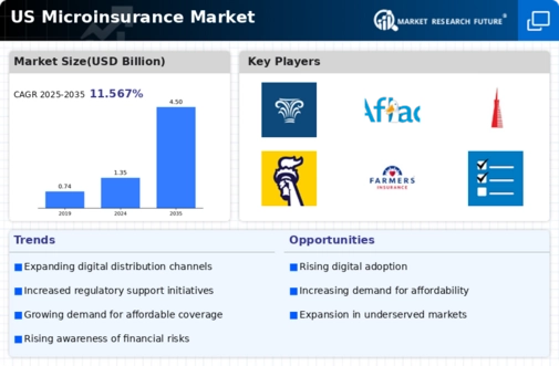 US Microinsurance Market Infographic