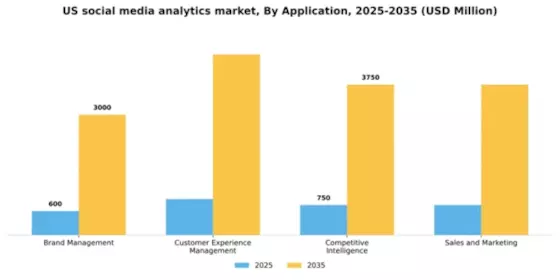 US Social Media Analytics Market Segment Image 0