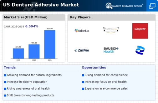 US Denture Adhesive Market Infographic
