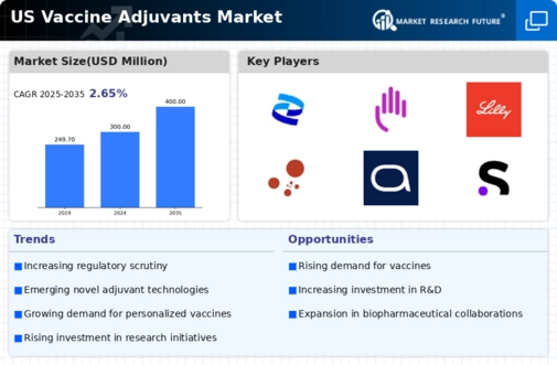 US Vaccine Adjuvants Market Infographic