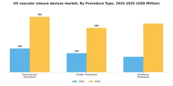 US Vascular Closure Devices Market Segment Image 2