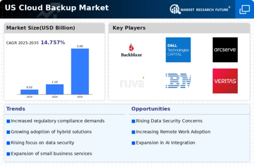 US Cloud Backup Market Infographic