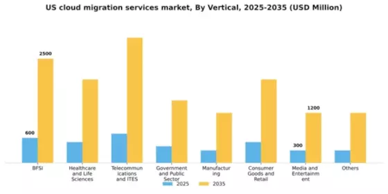 US Cloud Migration Services Market Segment Image 4