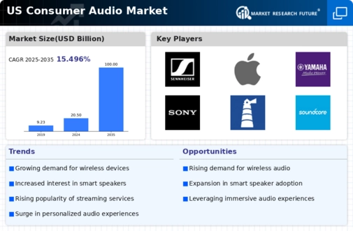 US Consumer Audio Market Infographic