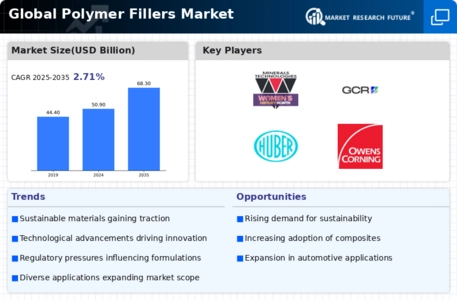 Polymer Filler Market Infographic