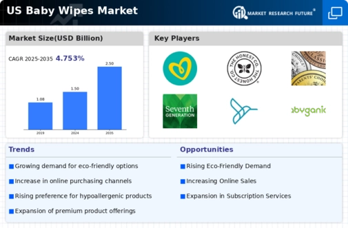 US Baby Wipes Market Infographic