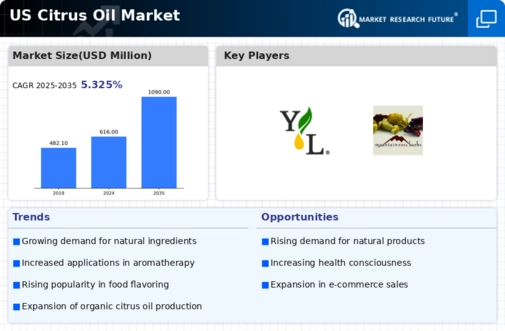 US Citrus Oil Market Infographic