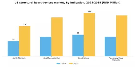 US Structural Heart Devices Market Segment Image 1