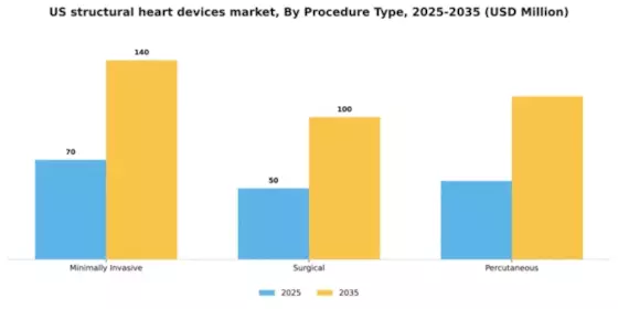 US Structural Heart Devices Market Segment Image 2