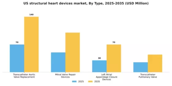 US Structural Heart Devices Market Segment Image 3