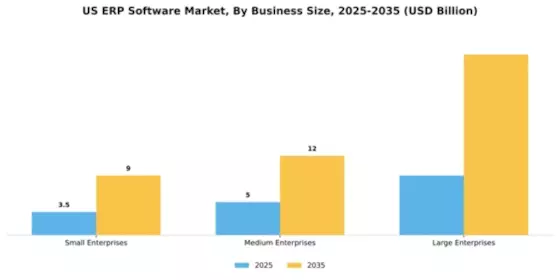 US ERP Software Market Segment Image 0