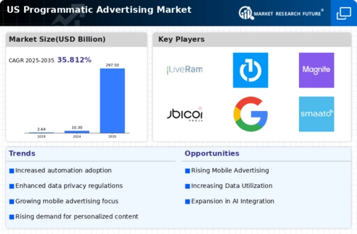 US Programmatic Advertising Market Infographic