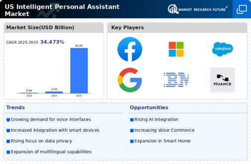 US Intelligent Personal Assistant Market Infographic