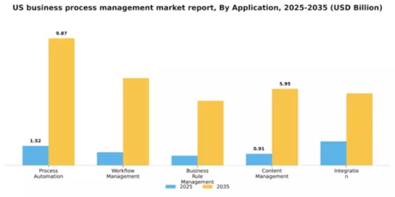 US Business Process Management Market Segment Image 0