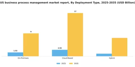 US Business Process Management Market Segment Image 1