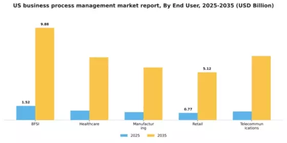 US Business Process Management Market Segment Image 2