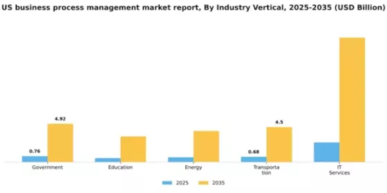 US Business Process Management Market Segment Image 3