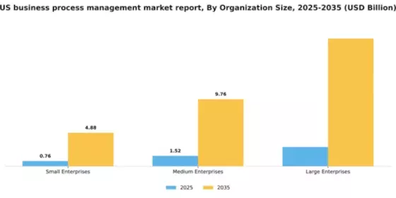 US Business Process Management Market Segment Image 4