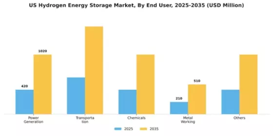 US Hydrogen Energy Storage Market Segment Image 0