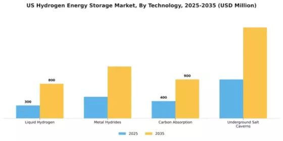 US Hydrogen Energy Storage Market Segment Image 1