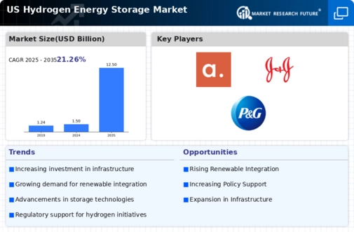 US Hydrogen Energy Storage Market Infographic