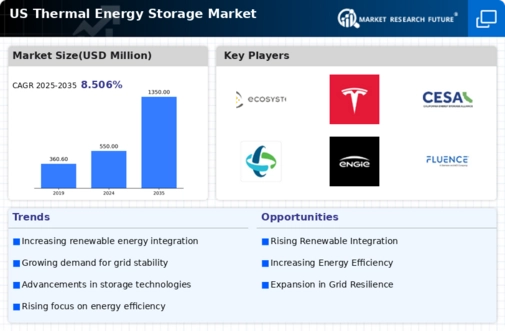 US Thermal Energy Storage Market Infographic
